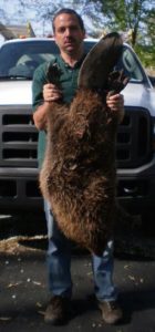 Kirk Neuner Holding Caught Beaver