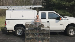 Trapped Animals From Admiral Wildlife