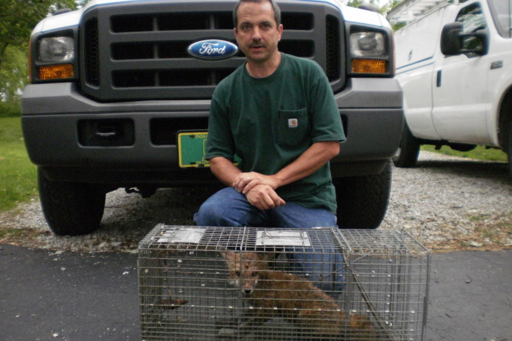 Kirk Neuner With Trapped Fox